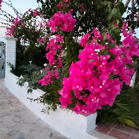 Leo * Ostuni