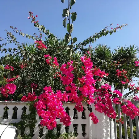 Villa Leo